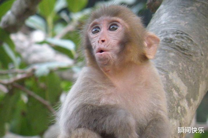 辅警|9月29号后,好事盈门,3生肖天赐鸿运,闯出名堂,生意兴隆