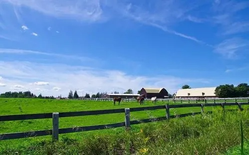 海说移民 加拿大还是澳洲,移民国家怎么选?提前了解这些让你不犹豫