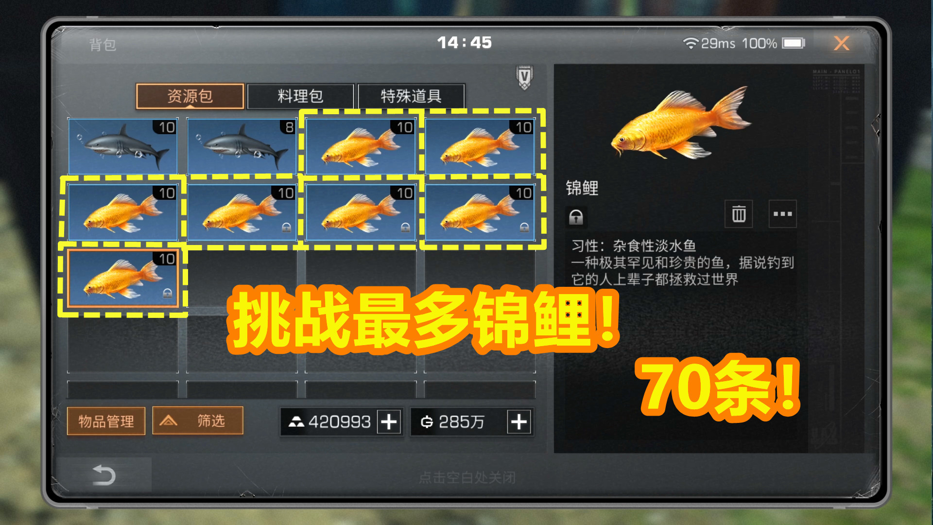 明日之后:挑战最多锦鲤!一共70条!