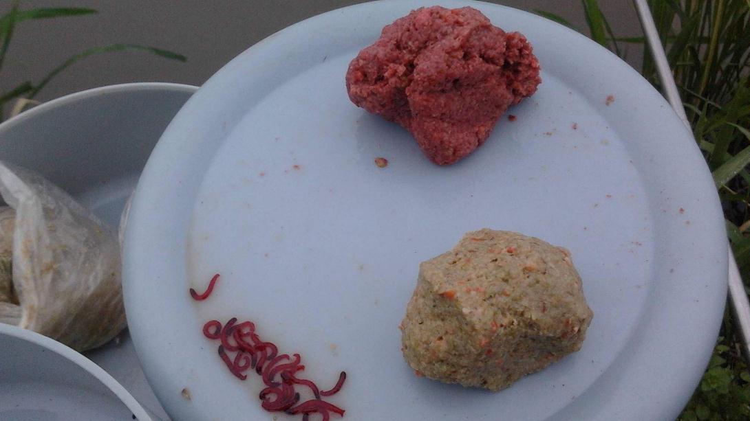 黄河|春末夏初，懂这3个知识点的钓友才能中更多鱼，明白的请别乱传