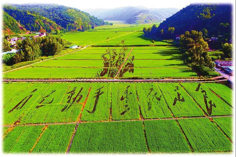 社会百科学子 你可能还不知道，武汉将有条全新的南泥湾大道