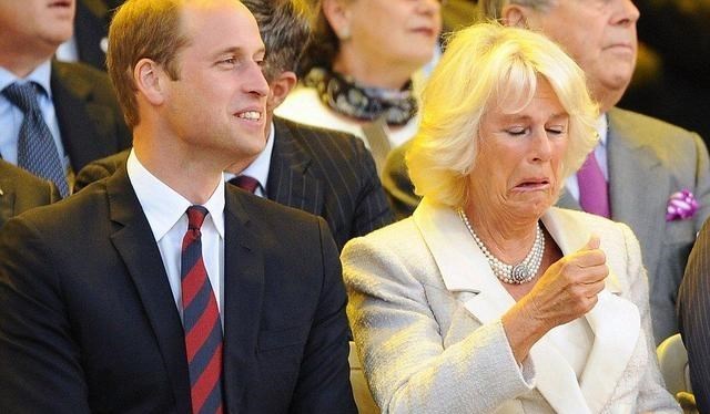 威廉王子|威廉哈里和卡米拉关系好不好？威廉开始不愿见她，哈里公开支持她