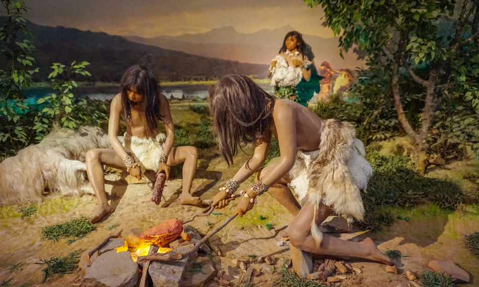 畜牧业 人类只吃食草动物,几乎不吃食肉动物,是因为食肉动物不好吃吗?