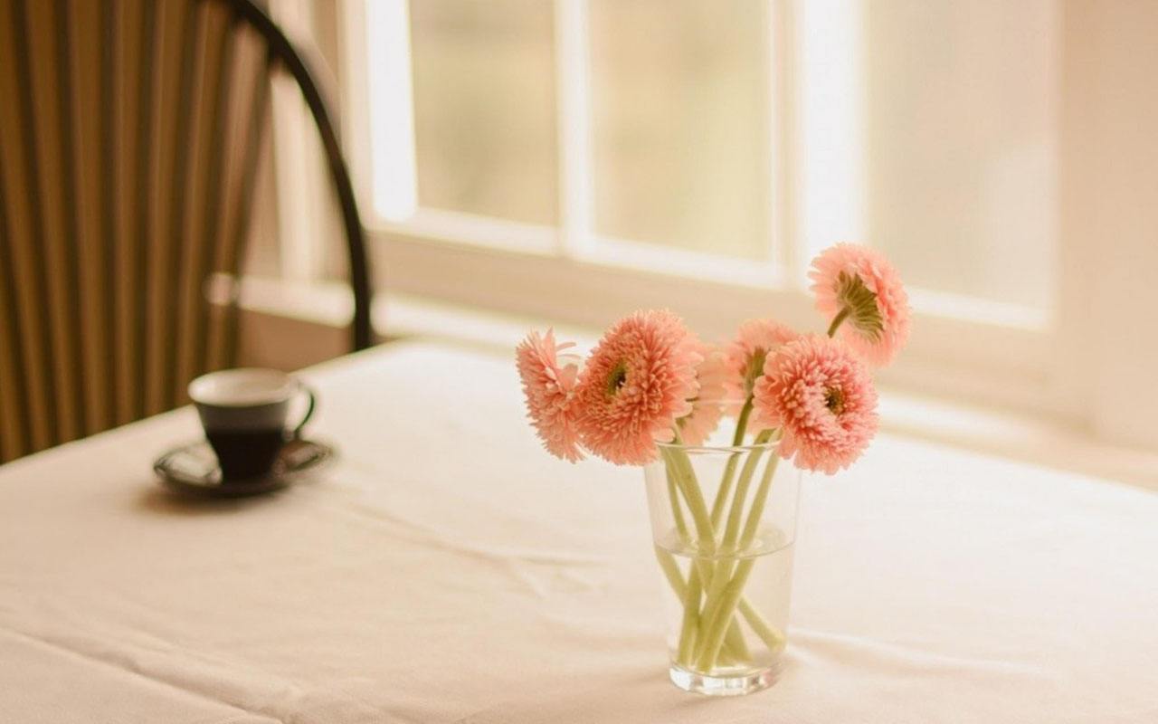 囧囧有妖|推荐囧囧有妖最新力作《余生有你，甜又暖》，非常甜宠受追捧，曾获月票第一！