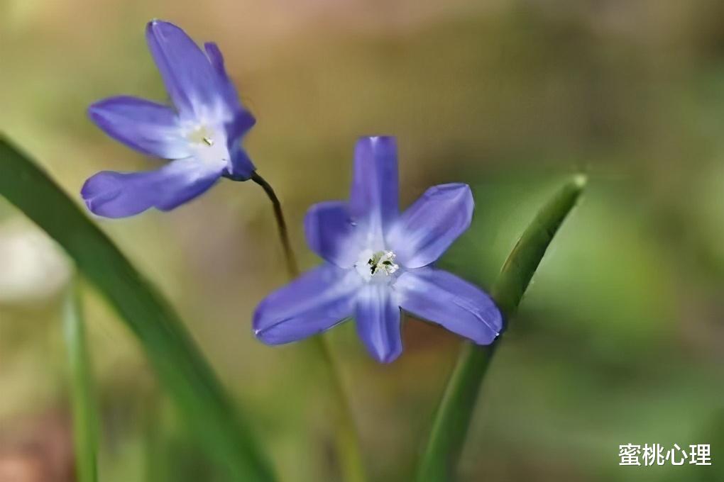 蜜桃心理|心理学：让男人放不下的了，往往是女人身上这4个地方