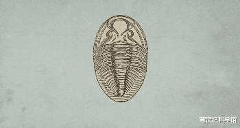 寒武纪 五亿年前的军备竞赛，寒武纪动物们的攻掠与防守，谁才是赢家？