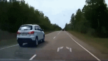 恐龙 神回复：已经能预见大家看到恐龙时的表情了，跟天塌下来一样呢。