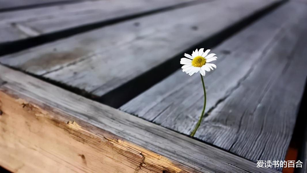 科学家 受噪声干扰,容易犯两种思维上的错误,希望你一个也没有