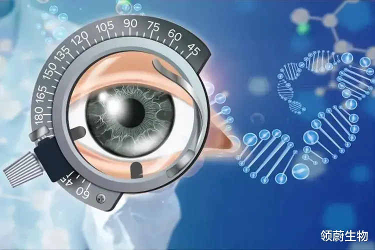 领蔚生物|新学期即将开始，干细胞能治愈高度近视吗？