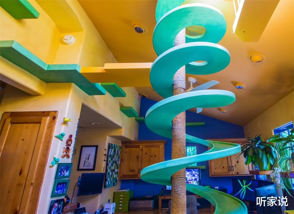 听家说|土豪壮汉养22只猫咪,为猫主子将别墅变成猫乐园,网友:太治愈了