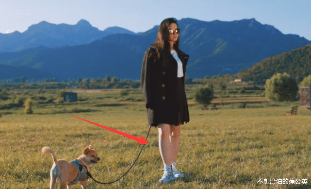 刘亦菲|刘亦菲晒LV花絮，墨镜遮脸、长发披肩超有范，生图却不是筷子腿