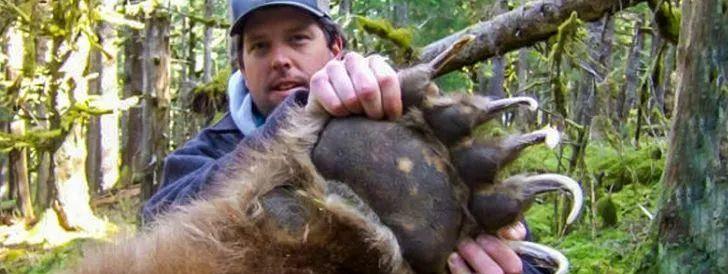  15个尺寸巨大的真实事物，最后那把小提琴能演奏吗？