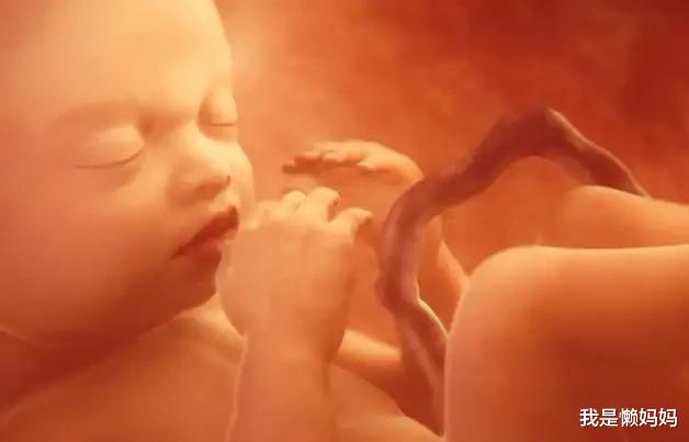 我是懒妈妈|胎宝在肚子里的时候头向下不会头晕吗？ 第一个原因太让人感动了