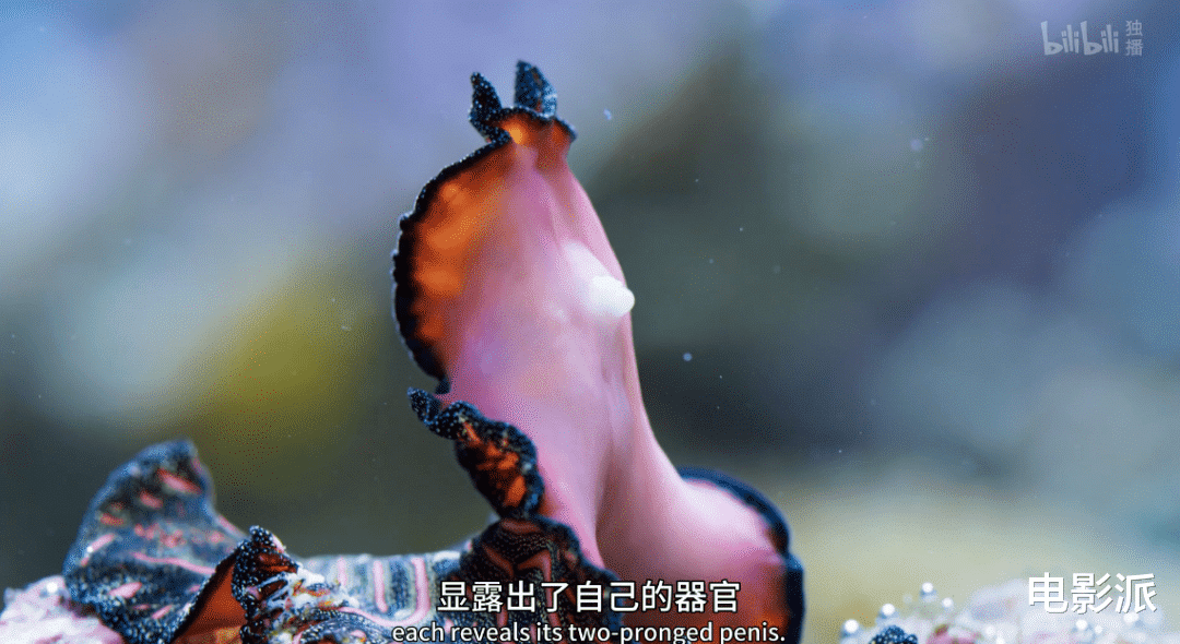 无码交配,这尺度不付费真能看?