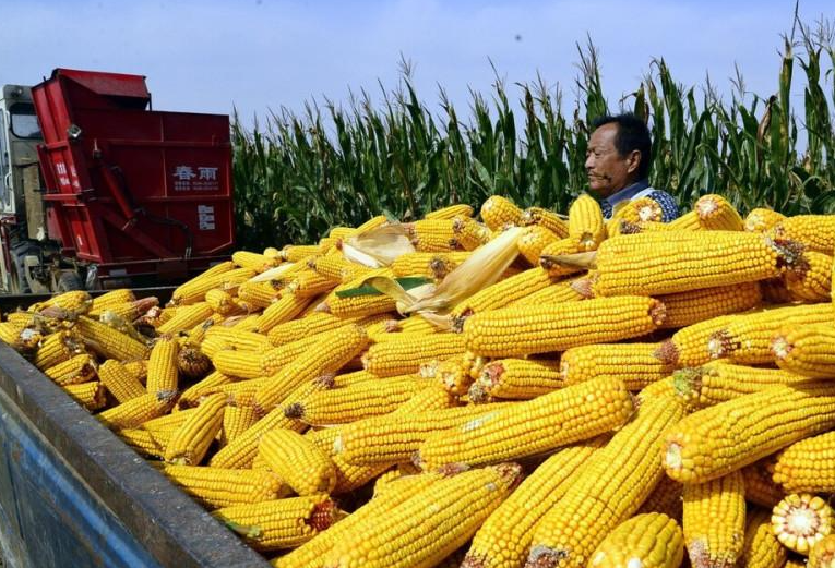 担心中国取消订单?一向从容自若的美国,为何坐不住了