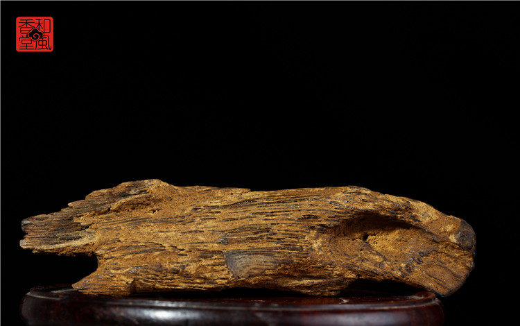 化石 埋藏土中成百上千年，木质纤维部分自然腐烂，仅存富含油脂、如化石般的部分称为红土沉香。