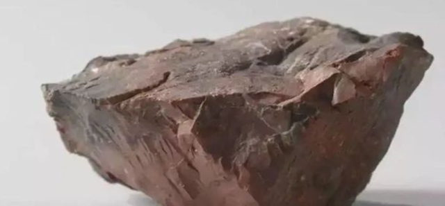 |国际玩笑开大了：月岩变木化石？美国“送”给荷兰的月岩是假货？