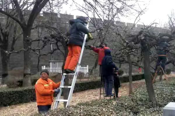 山海关区融媒体中心 山海关区：“三措并举”推进城市绿化