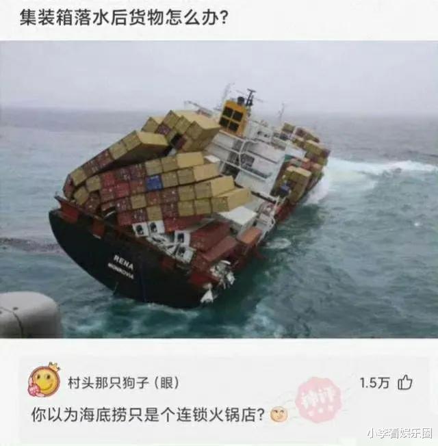 王思聪|神回复：如果你捡到王思聪的狗，怎么做到利益最大化？神评论绝了