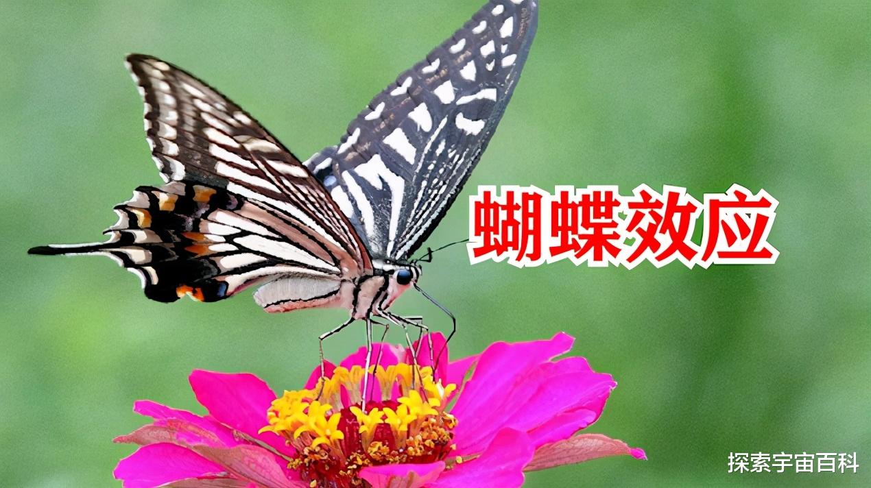 世界著名的定律、揭示生活中的心理玄机、或许会改变你的人生