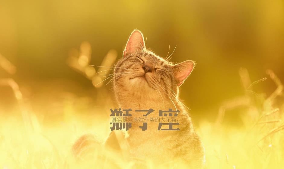 狮子座|天生“领导者”的三大星座，慧眼识珠，懂得揣测人心，令人敬仰