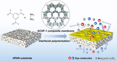 2g 用于超快分子筛分的中等结晶氮杂共价有机骨架膜