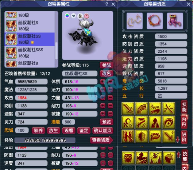 紫禁城|梦幻西游：紫禁城丝叔更新第8匹黑马，他的“八骏图”真的太强了