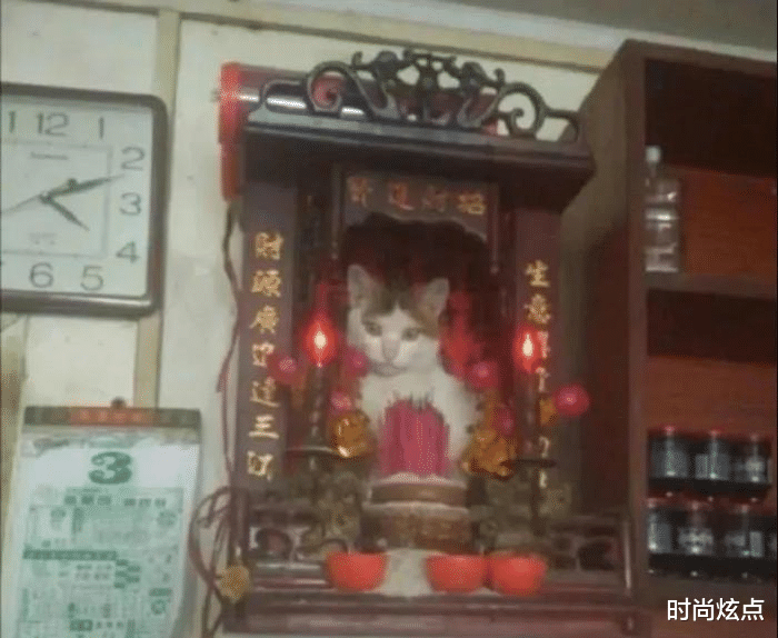 时尚炫点 “如何判断一个男人的能力如何？看腿就行了！”