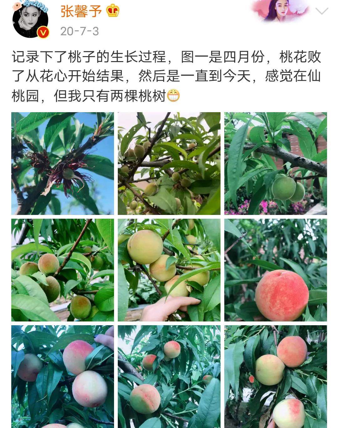 甄嬛传|张馨予放荡不羁的前半段，矫枉过正的后半段