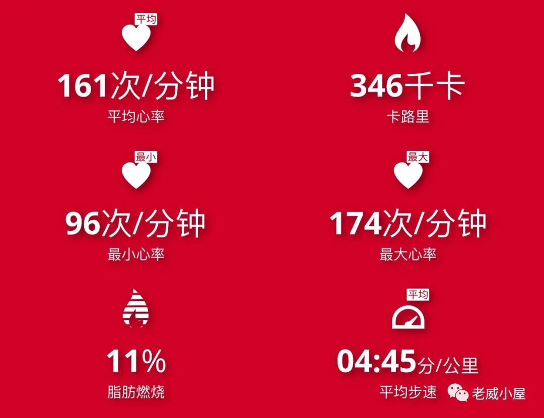 水果|跑步，贵在坚持，慢是精髓