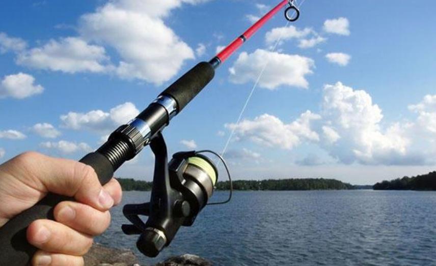 |搓饵和拉饵到底谁才是王者？老钓鱼者道破实情