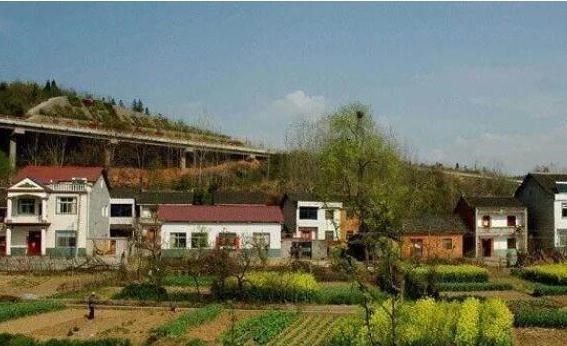 宅基地|在农村，主动退出宅基地可拿补偿，为何农民却不愿意呢？