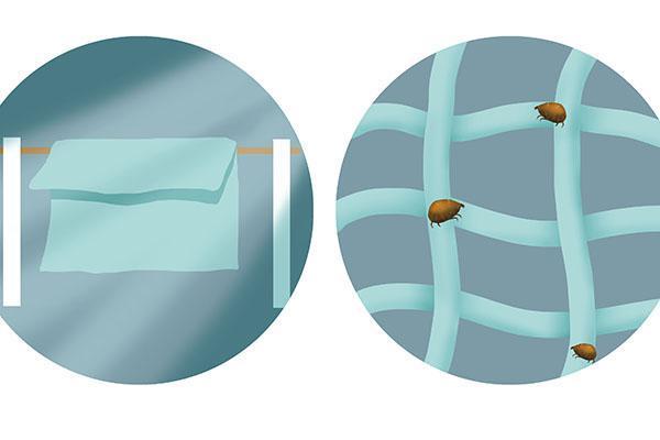 水果|坚持用“硫磺皂”洗澡，过段时间，身体会发生什么变化？早做了解