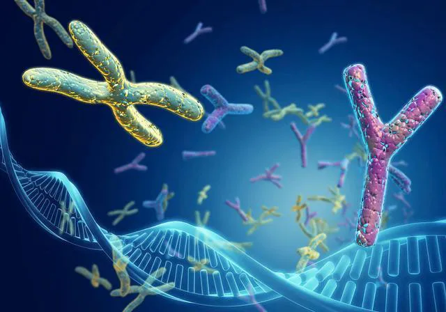 Manlix|无创DNA产前检测能查到什么?有必要做吗?