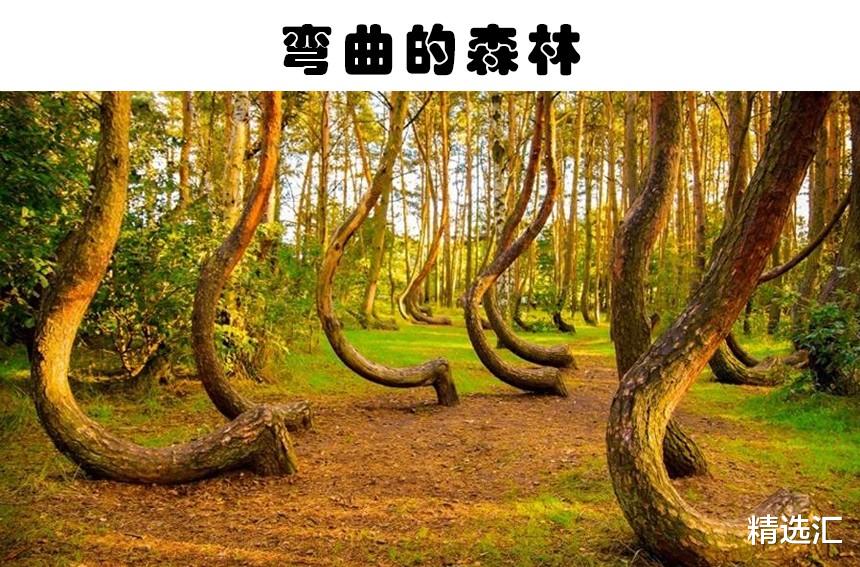 抗体 世界上真实存在的5个极其神秘且与世隔绝的地方