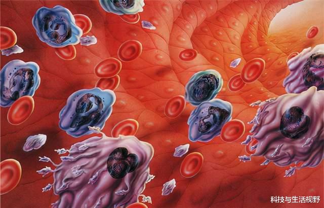 中药|中药治癌这么好,那么中药对身体是否没有副作用?