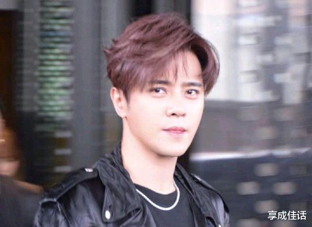 明星|被封杀的十位明星，哪位蕞可恨了，非喜欢走作死的道路又能怪谁