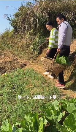 带货|牛爱芳的小春花：憨厚形象是假的？旧视频剧本被扒，网友坐不住了