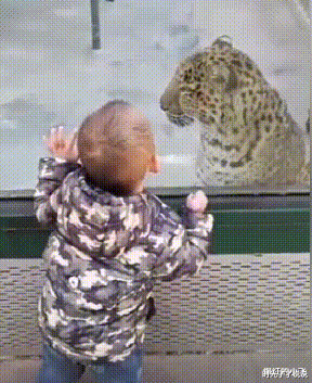 时光了了说说|“为什么穿内衣不能看，而穿泳衣却可以？哈哈哈...这有啥区别啊！”