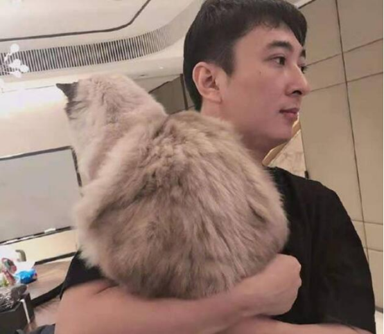 王思聪|王思聪被虐爽了！被女网红曝光聊天后怒发朋友圈：我TM没舔