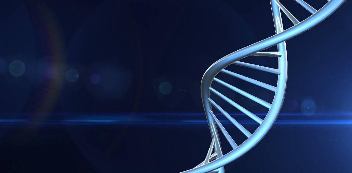 为何科学家很少提克隆了?克隆羊多莉短暂的一生,就是最好的答案