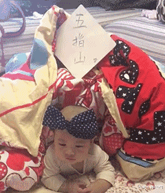 求职|“大学为什么不能把课排满，用两年学完四年的课，不就能早点找工作了嘛？”呵呵