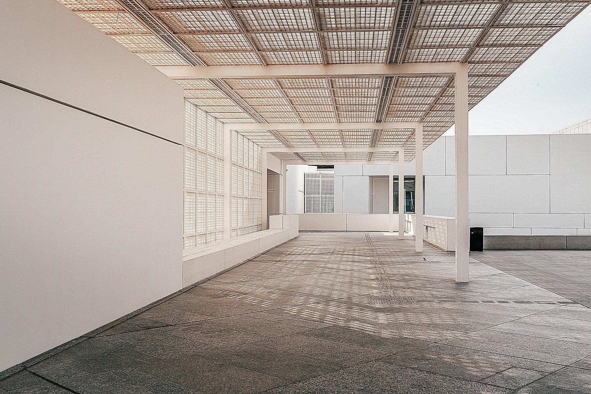 闲时翻书君 三毛：不断地自我突破，才是一生中向上爬的力量