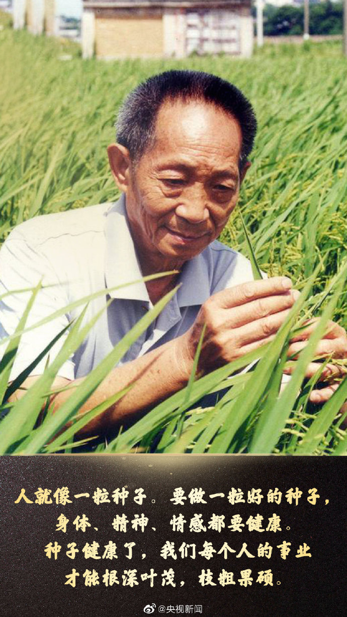 肖战|肖战、龚俊、张哲瀚等众星悼念袁隆平，御赐小仵作直播活动取消！