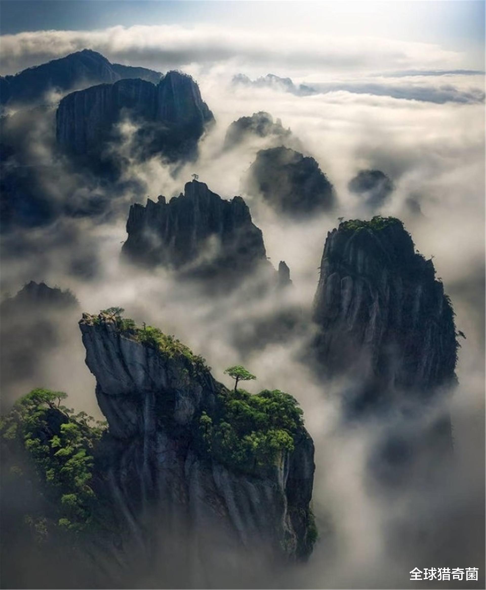 驻马店 30张罕见的照片告诉你,未经人类打扰的大自然有多美!