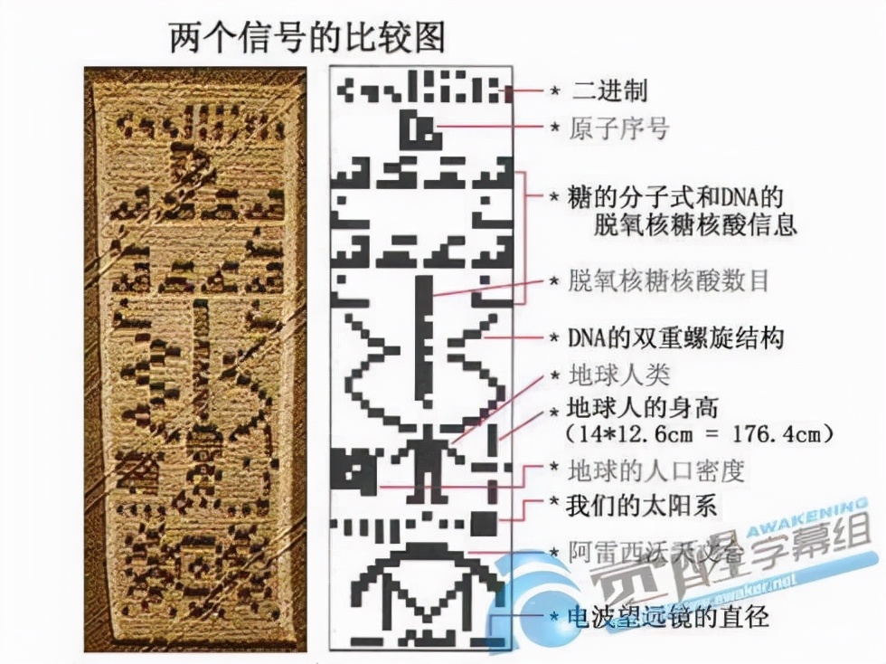 麦田圈，是外星人的杰作还是人类的恶作剧？
