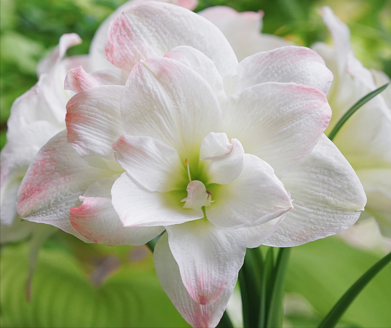 荒废多年的80㎡楼顶露台,DIY改造花园,从无到有满满的成就感了