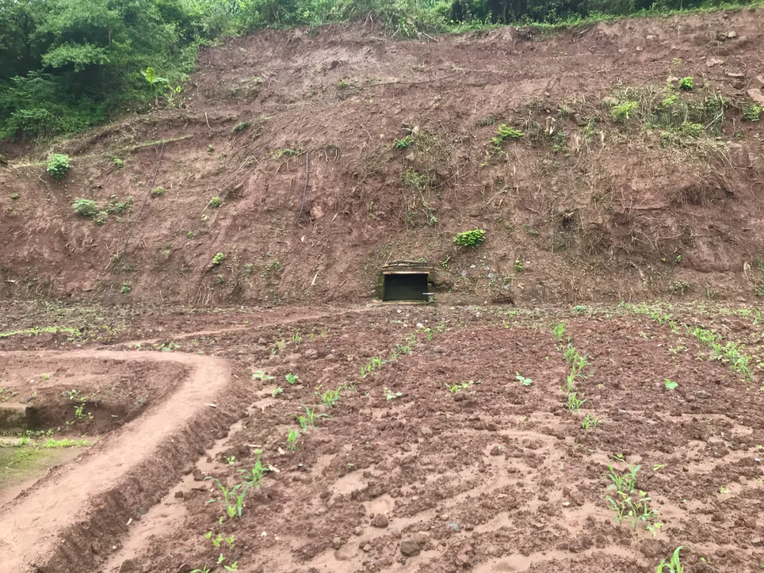 |风水寻地记，如玉盘之高山窝穴阴宅风水美地分享（多图）