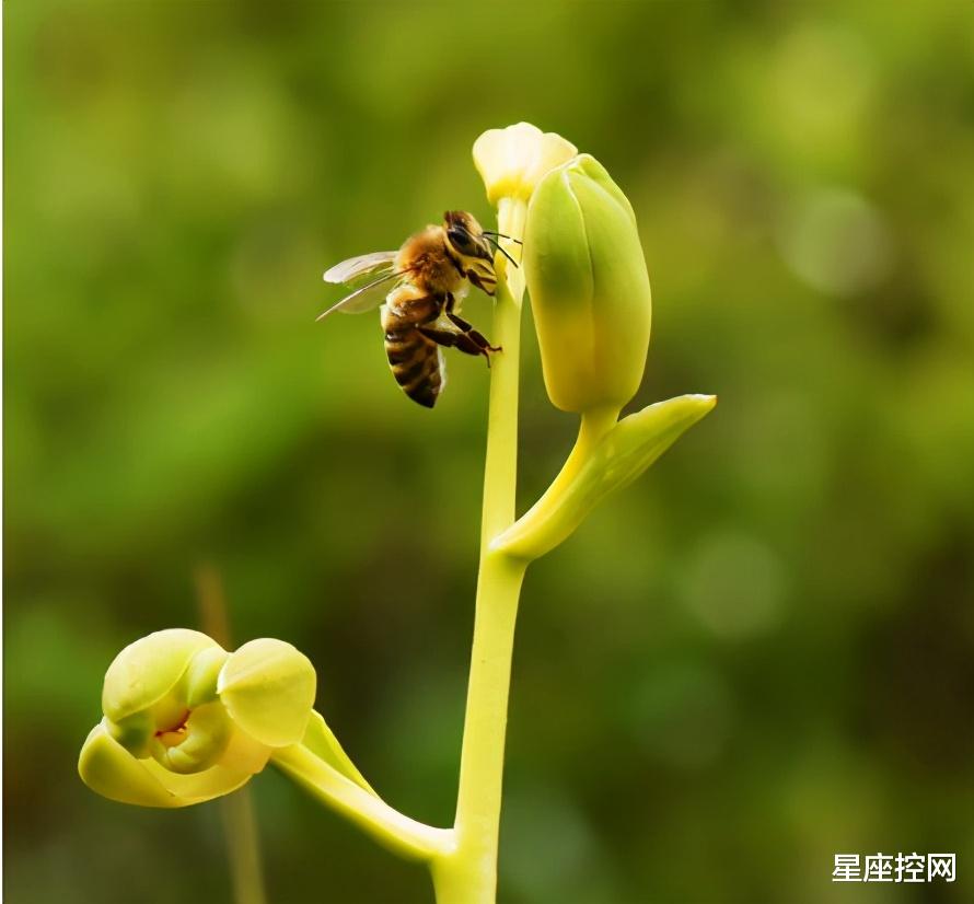 星座控网|啥日期出生的人，勇于尝试新业务，能力超凡，事业自成格局！