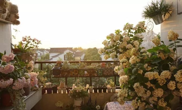 |3㎡的阳台能干嘛？这个宿舍小阳台花园或许会惊艳到你，看看吧！